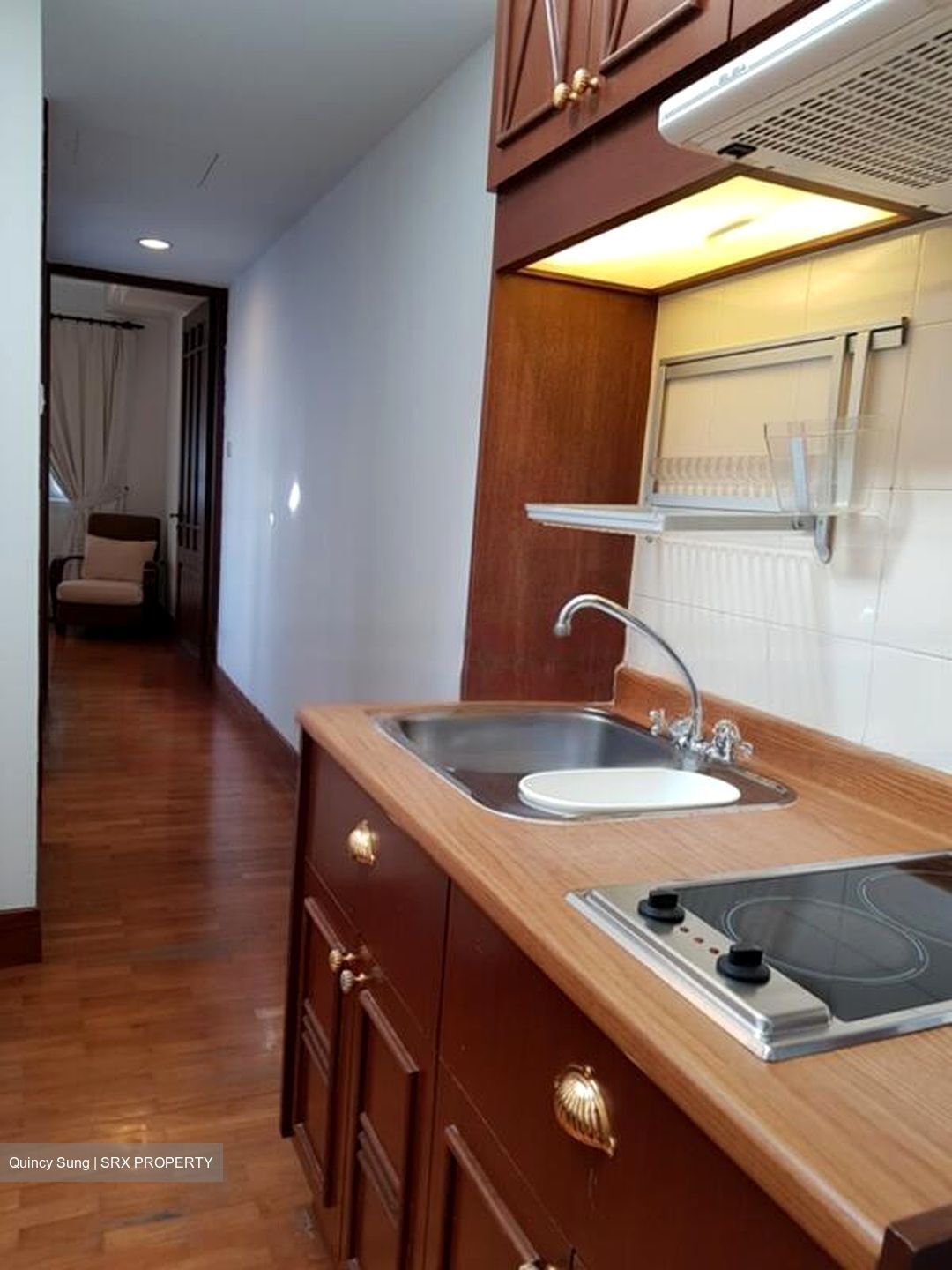 Joo Chiat Place (D15), Detached #482580741